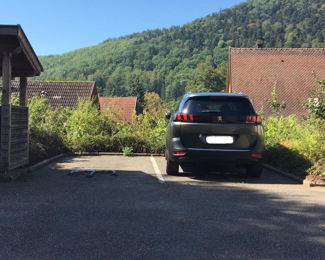 Le Panorama Apartamento Kaysersberg-Vignoble Exterior foto