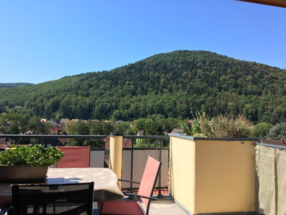 Le Panorama Apartamento Kaysersberg-Vignoble Exterior foto